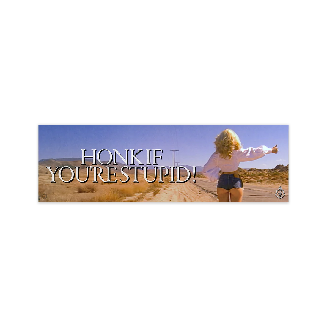163-honk-if-you-re-stupid-bumper-sticker-1.webp Honk If You're Stupid! Bumper Sticker